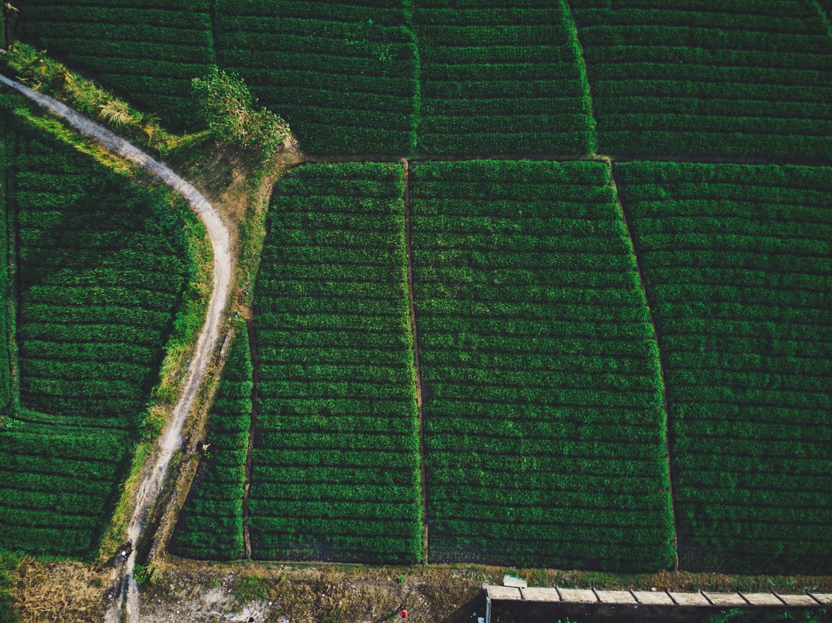 Aerial photograph of fields and winding routes
